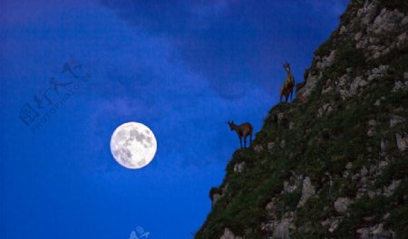 高山景观图片