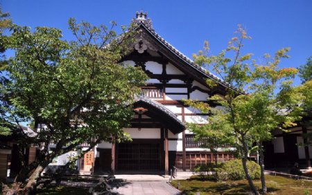 京都高台寺图片