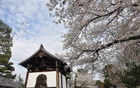 日本京都建仁寺图片