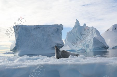 冰山冰川南极图片