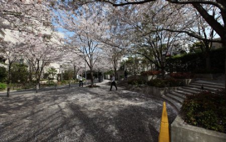 日本街头公园图片