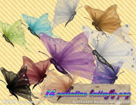 可爱的蝴蝶素材图片