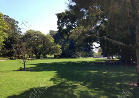 悉尼珀坦尼皇家公园图片