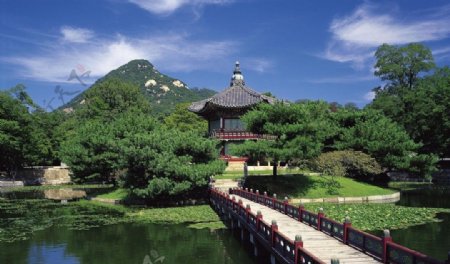 韩国济洲岛图片