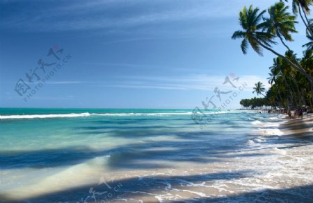 巴西海滩图片