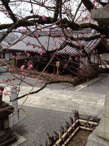 三井寺图片