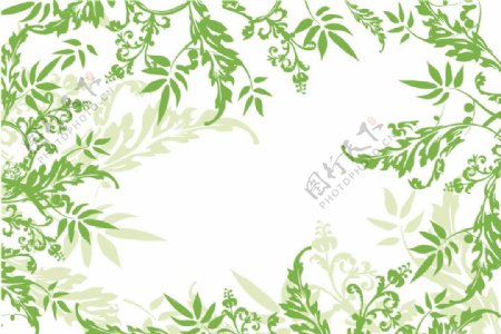 绿色藤类植物矢量素材图片