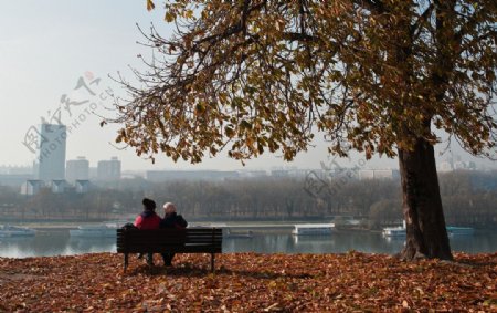 多瑙河畔的情侣图片