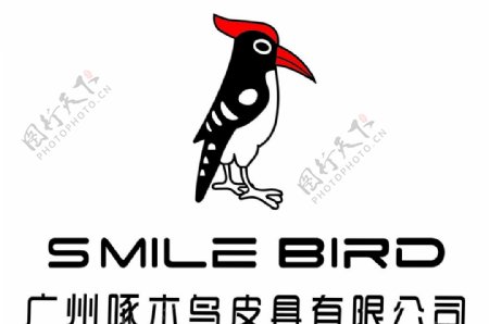 上海啄木鸟图片