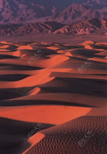 沙漠2图片