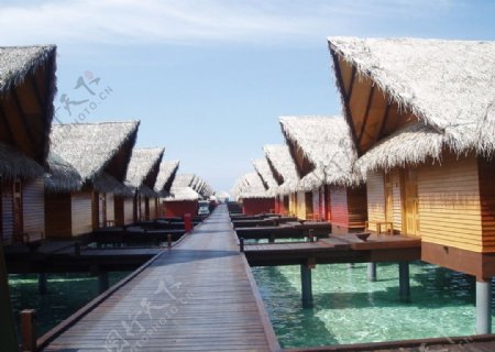 马尔代夫大劳力士岛水上旅馆图片