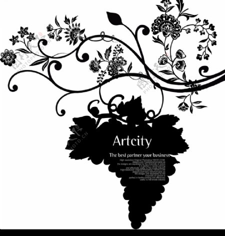 Artcity的葡萄花图片