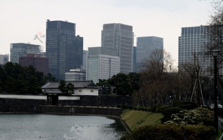 东京现代建筑背景下的皇宫传达室图片