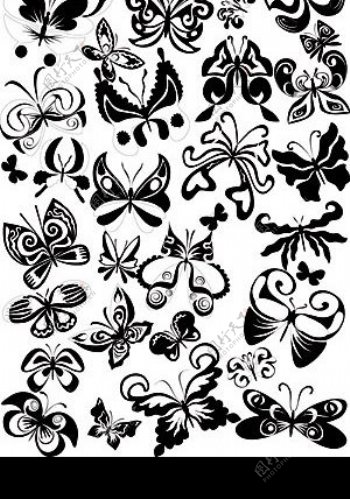 百态蝴蝶黑白图片