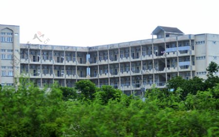 毛里求斯路易港市内的学校建筑图片