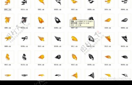 100款车饰图案图片