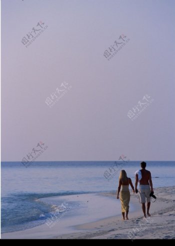 海滩情侣背影图片
