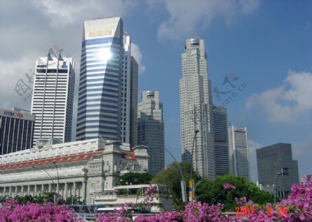 美丽的新加坡图片