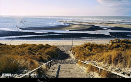 荷兰通向海滩的阶梯图片