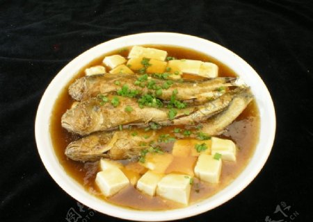 小黄鱼焖豆腐图片
