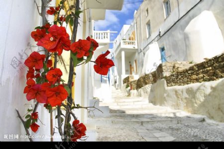 美丽的希腊小巷图片