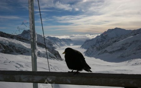 瑞士雪景图片