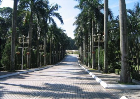 马来西亚皇宫甬道图片