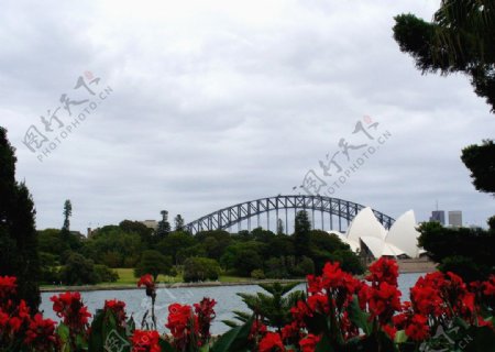 悉尼歌剧院大桥图片