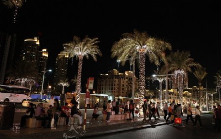 迪拜之夜图片