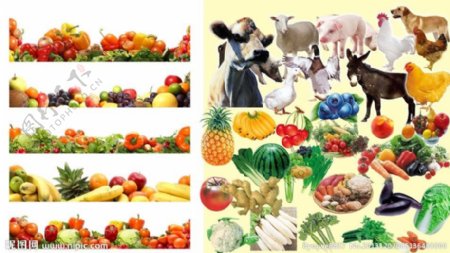水果蔬菜家禽图片