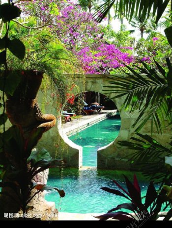 花丛中的巴厘岛温泉图片