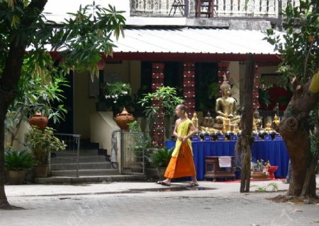 泰国清迈之寺庙和尚图片