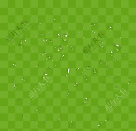 绿色水珠方格图片