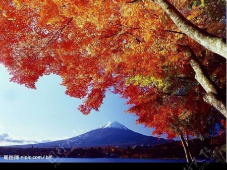 日本富士山图片