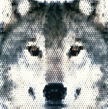 动物头像狼图片