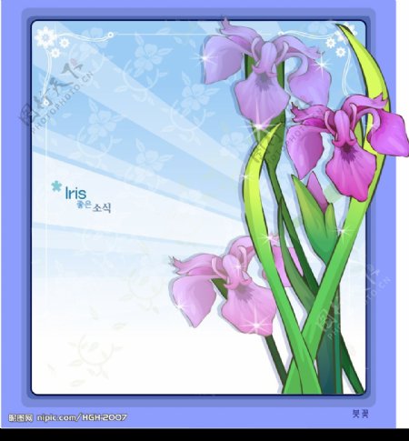韩国花框图片