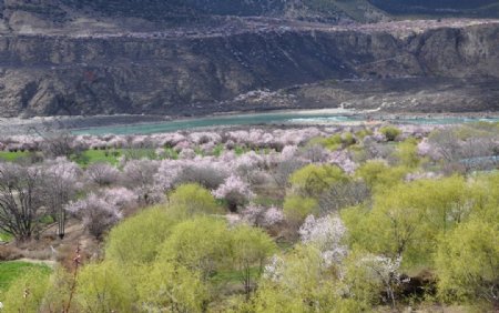 米林山水图片