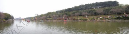 湖南省植物园图片