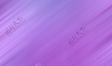 紫色纹路图片