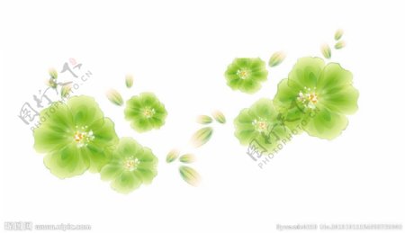 绿色梦幻花朵图片