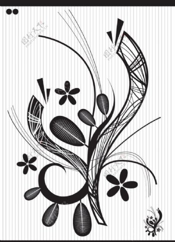 黑白线条花纹图片