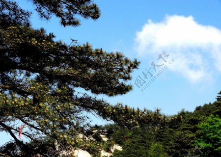 龟峰山风景图片