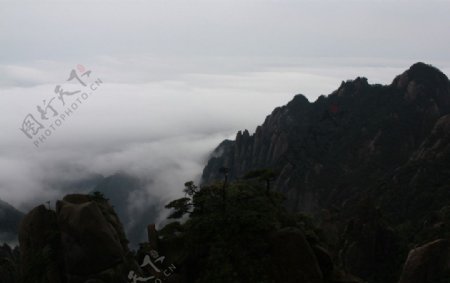 山雾之间图片