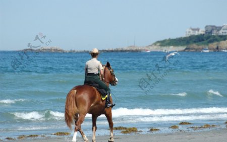 海边骑马人图片