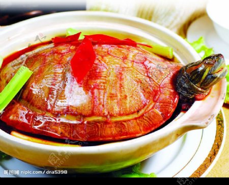 红煨巴西龟图片
