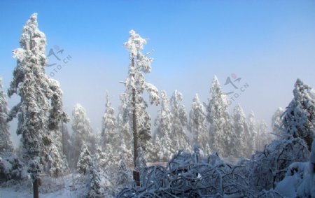 雪景峨眉山图片