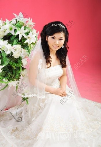 白色经典婚纱照图片