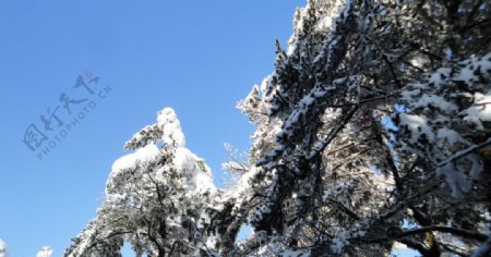 蓝天白雪图片