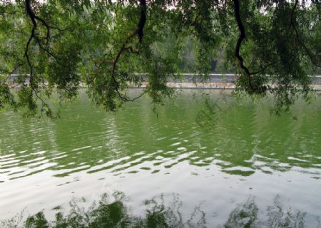 湖美景图片