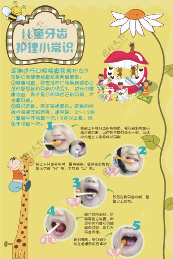 儿童牙齿护理展板图片